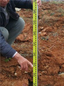 云南强夯文山杨梅山庄案例