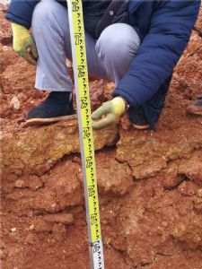 6云南强夯文山杨梅山庄案例